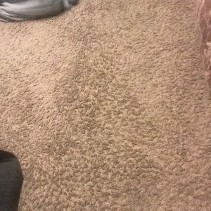 Meet your Posher, Lashawn